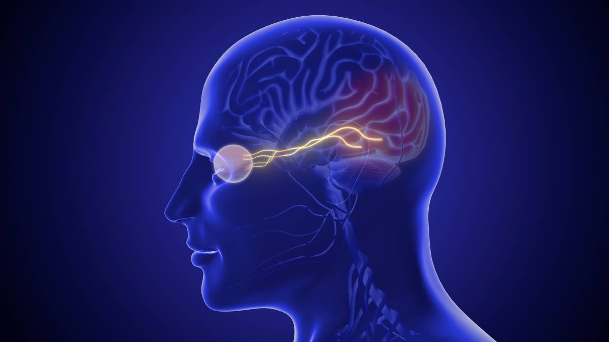 Medication Options for Nerve Block