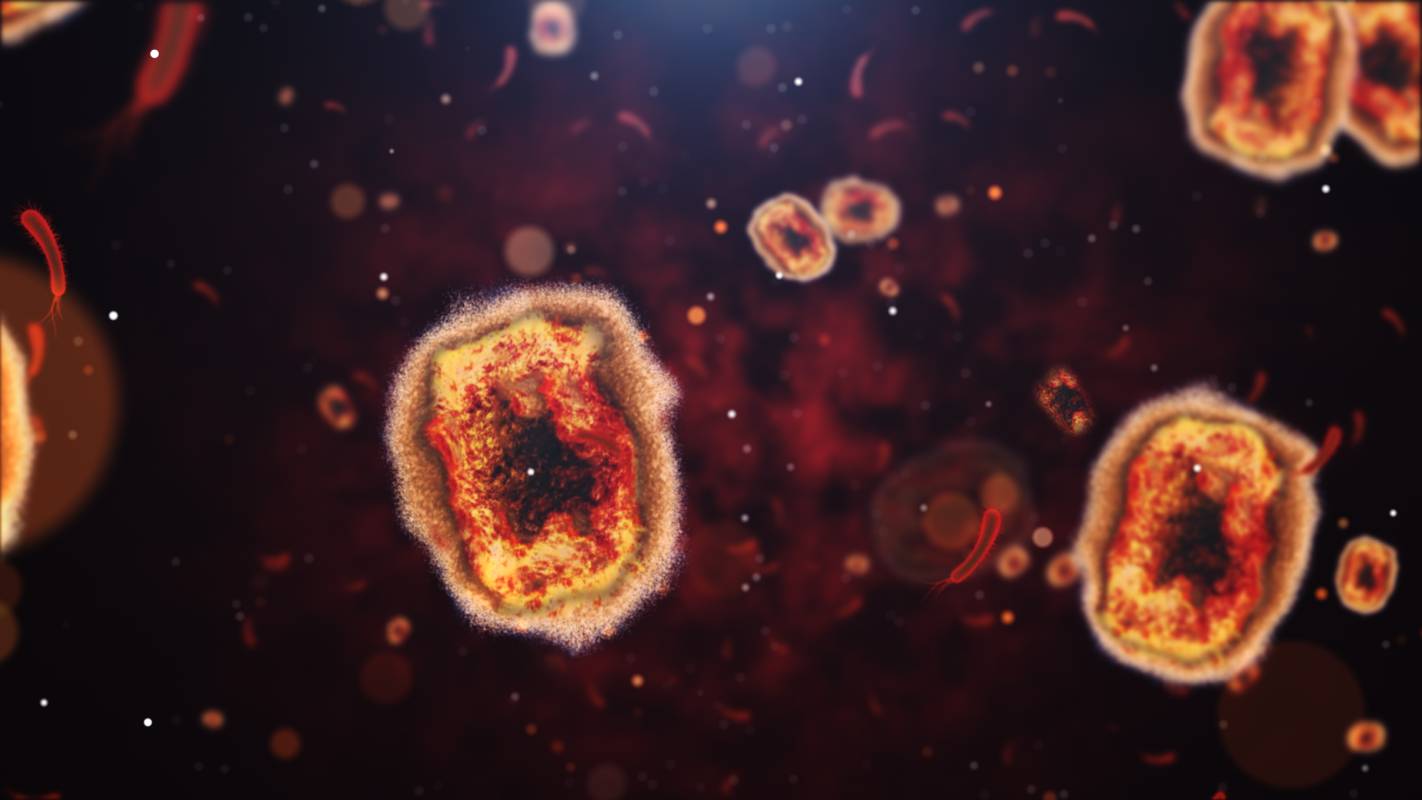 History of Monkeypox