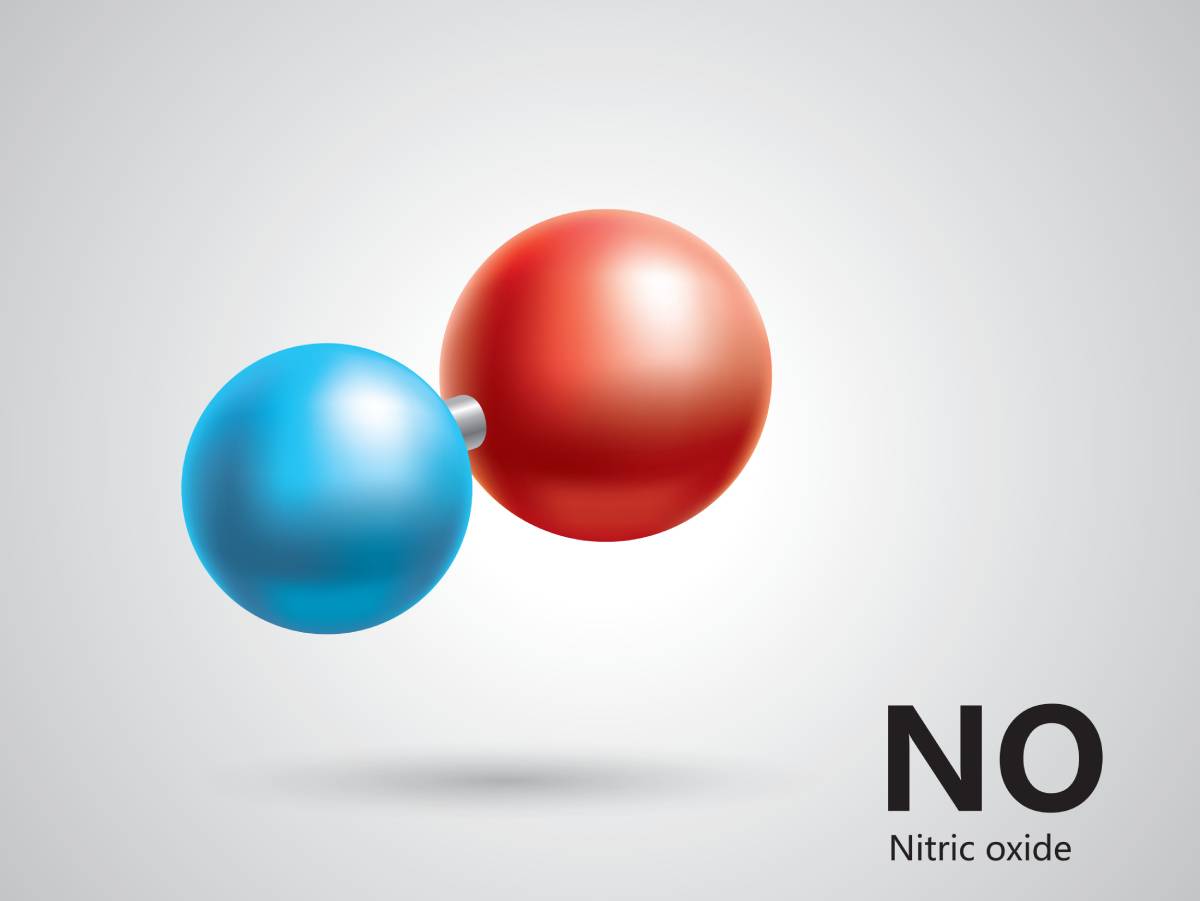 Effect of Nitric Oxide on Oxygenation