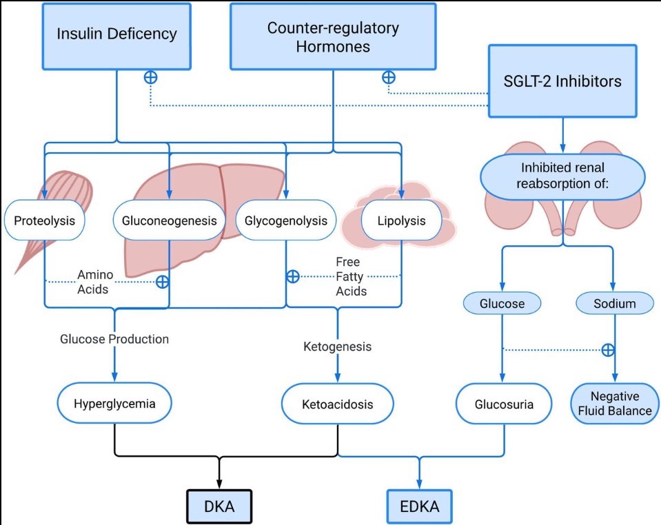 Euglycemic Ketoacidosis